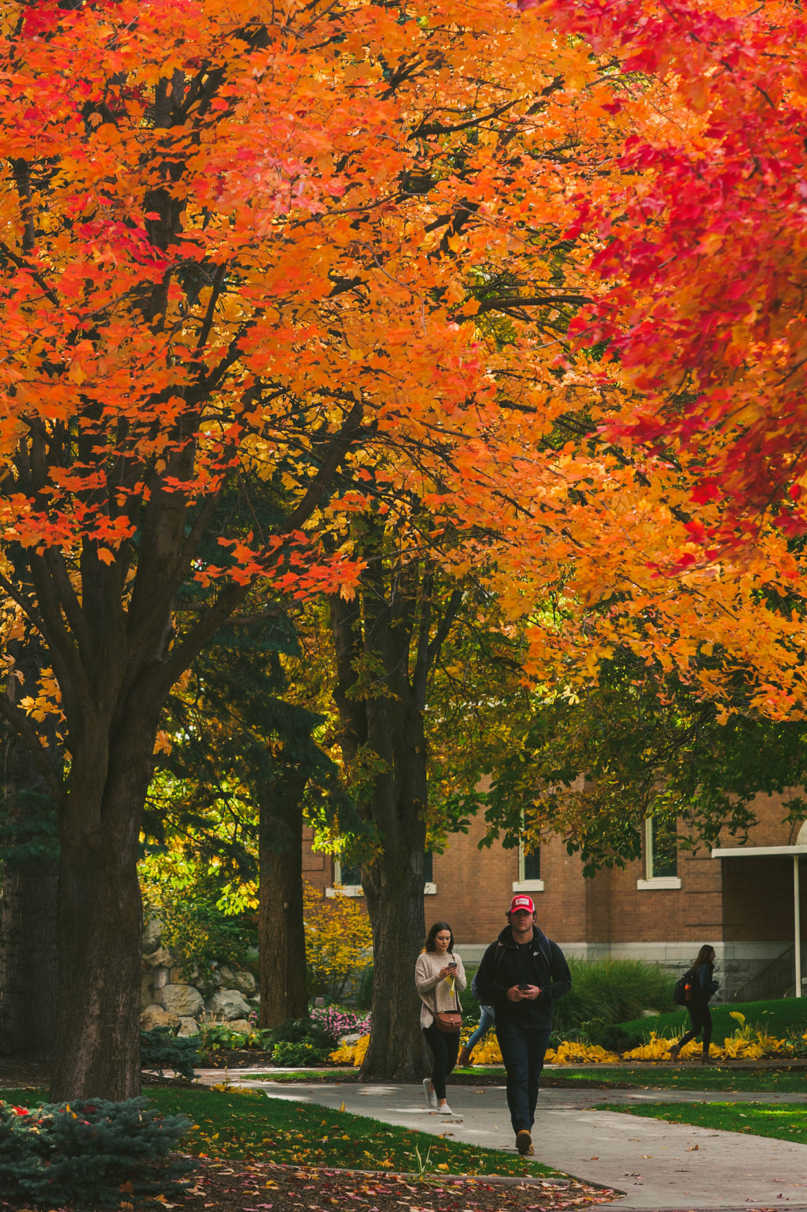 Campus Shots